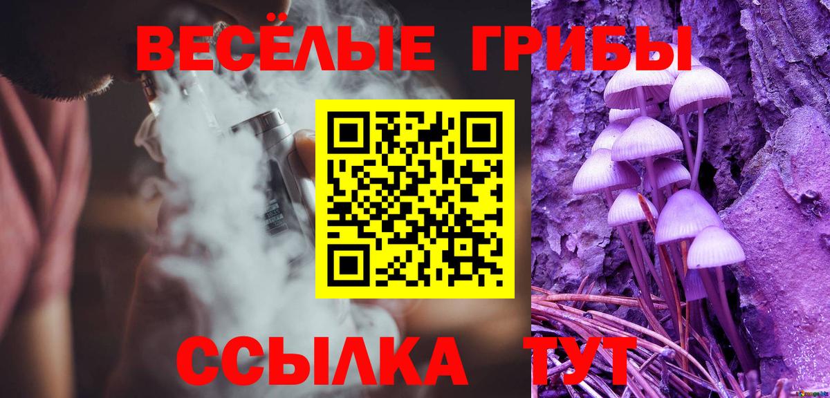 Галлюциногенные грибы MAGIC MUSHROOMS Калининград