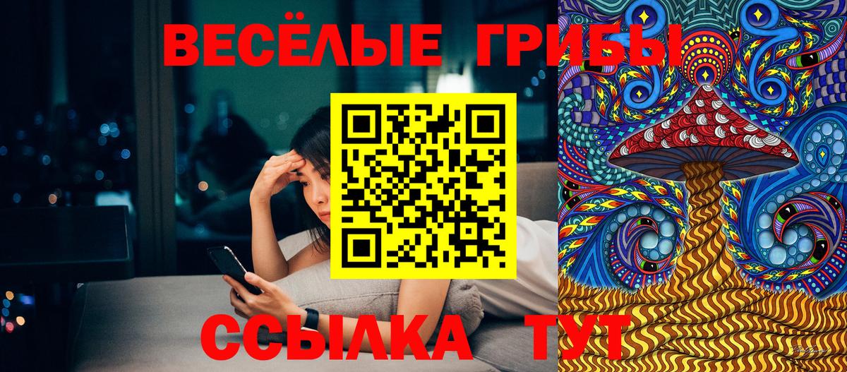 Псилоцибиновые грибы мицелий  Вход с VPN  Калининград  Псилоцибиновые грибы мицелий 